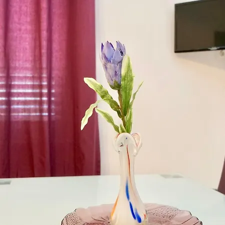 House Mariposa 3* Трогир