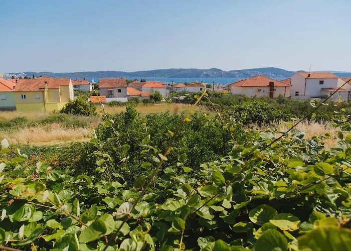 House Mariposa Πανσιόν 3*