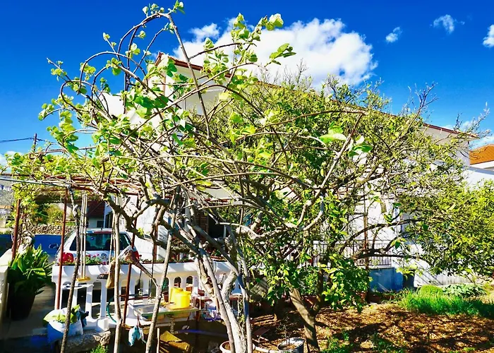 House Mariposa Πανσιόν 3*