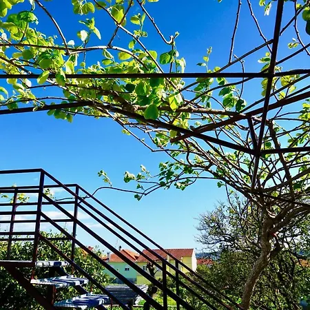 House Mariposa 3* Trogir