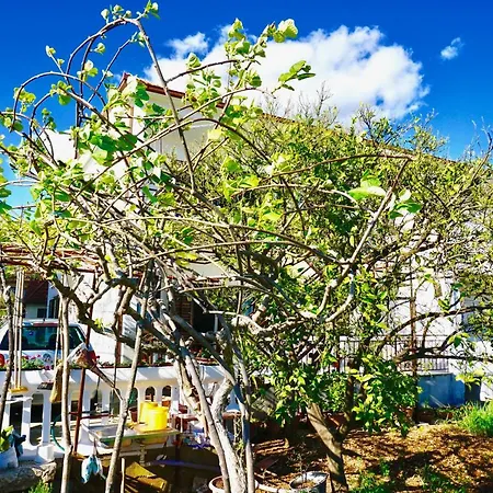 House Mariposa Guest house 3*