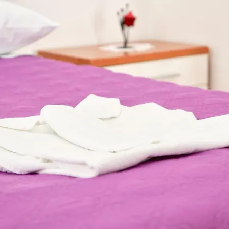 House Mariposa 게스트하우스