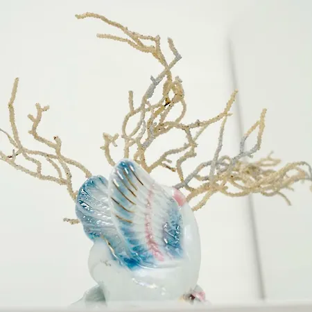 House Mariposa 3* 트로기르