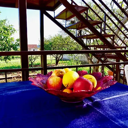 Pensión House Mariposa